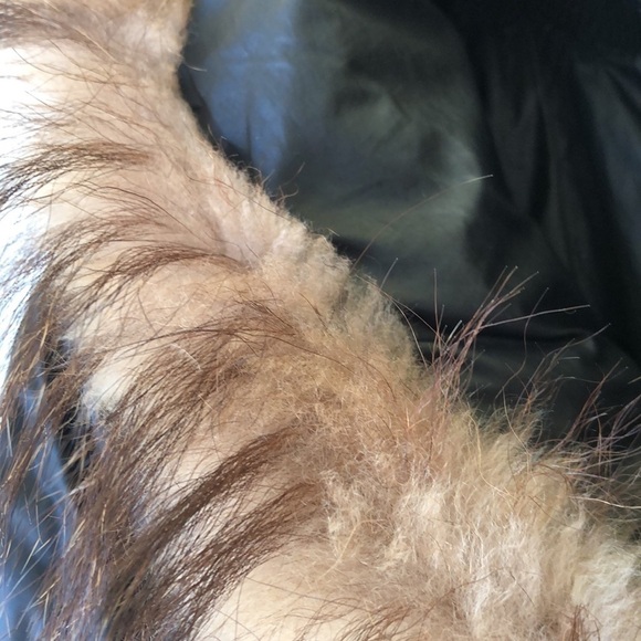 ATELIER Nord – Division of Rudsak – puffer parka - Picture 4 of 16